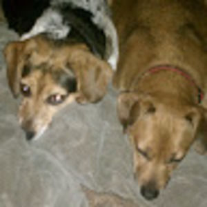 Meet your Posher, Laurie